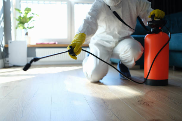 Reliable Unattended Death Cleanup contractor in Indian Springs, NV by Trauma Clean Pros